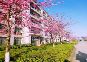 云南昆明商务学院2018年三年制中专招生简介