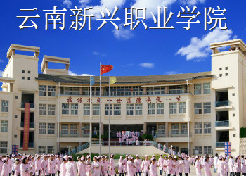 云南新兴职业学院2024年中专招生计划