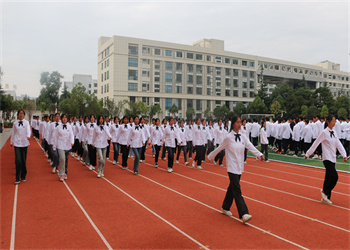 曲靖财经学校2025年中专招生录取分数线