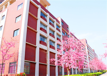 昆明市卫生学校2025年中专招生专业介绍