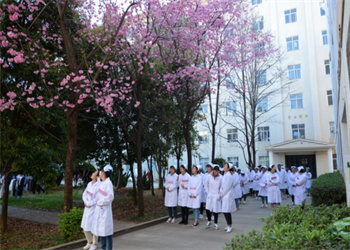 云南中医药中等专业学校2025年中专招生对象