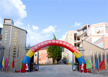 云南中医药中等专业学校2025年中专录取分数线