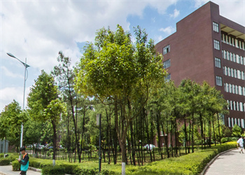 昆明市卫生学校2025年中专招生计划