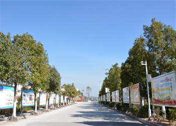 曲靖靖宁职业技术学校2025年中专招生专业 曲靖靖宁职业技术学校2025年中专招生专业